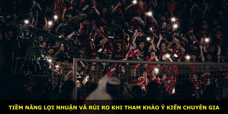 Tiềm năng lợi nhuận và rủi ro khi tham khảo ý kiến chuyên gia