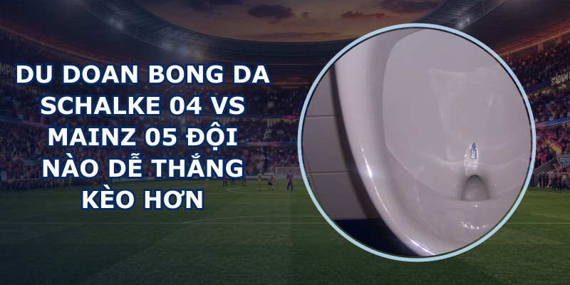 du doan bong da Schalke 04 vs Mainz 05