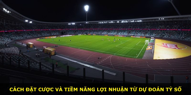 Cách đặt cược và tiềm năng lợi nhuận từ dự đoán tỷ số