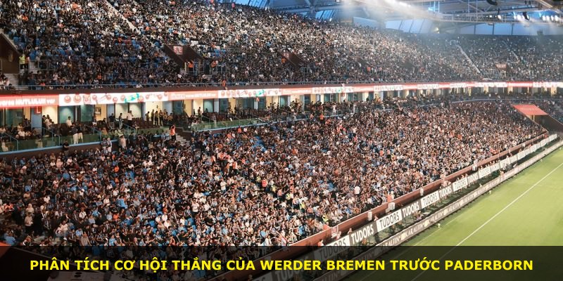 Phân tích cơ hội thắng của Werder Bremen trước Paderborn