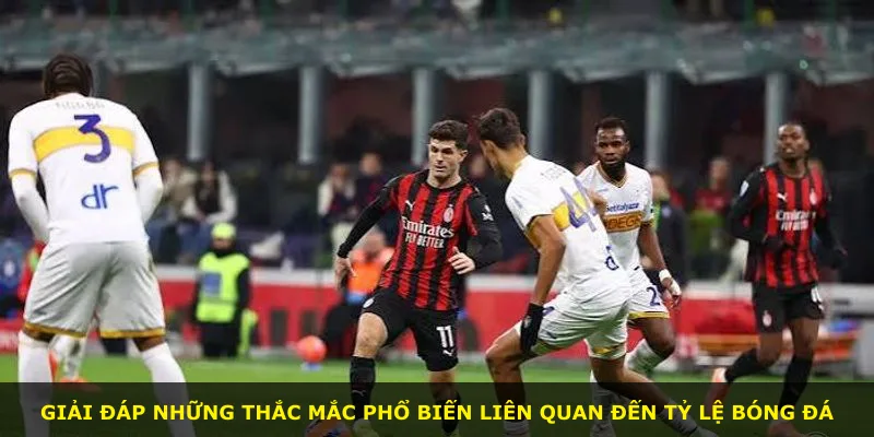Giải đáp những thắc mắc phổ biến liên quan đến tỷ lệ bóng đá