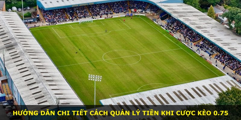 Hướng dẫn chi tiết cách quản lý tiền khi cược kèo 0.75