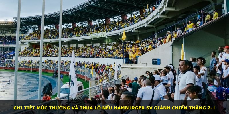 Chi tiết mức thưởng và thua lỗ nếu Hamburger SV giành chiến thắng 2-1