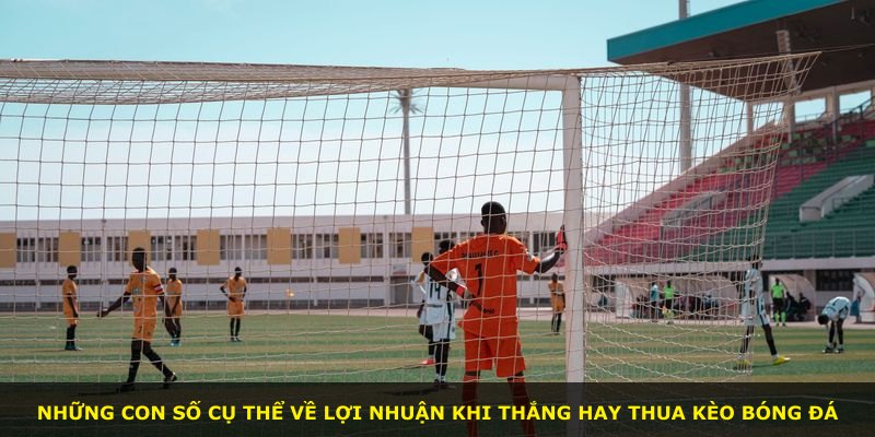 Những con số cụ thể về lợi nhuận khi thắng hay thua kèo bóng đá