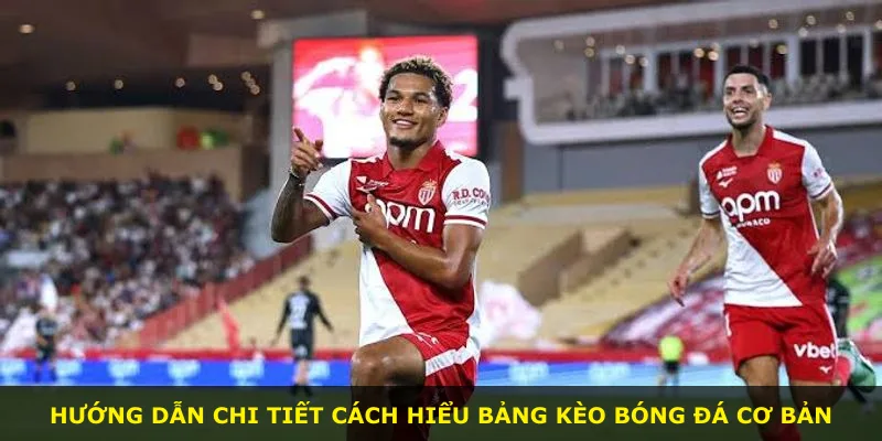 Hướng dẫn chi tiết cách hiểu bảng kèo bóng đá cơ bản