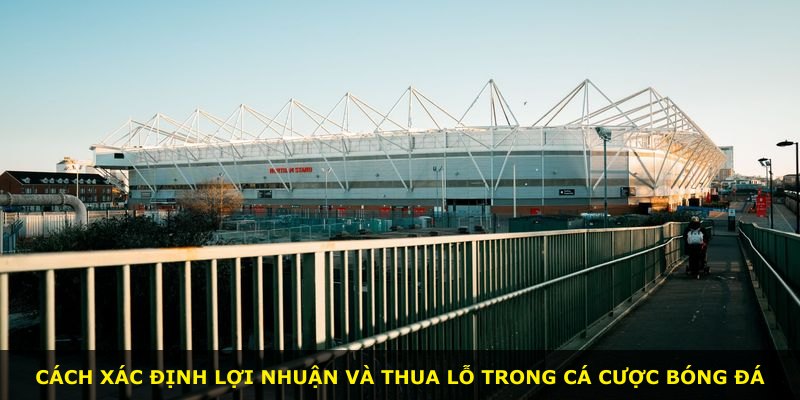 Cách xác định lợi nhuận và thua lỗ trong cá cược bóng đá