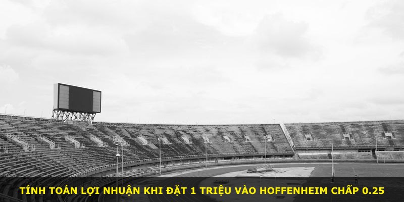 Tính toán lợi nhuận khi đặt 1 triệu vào Hoffenheim chấp 0.25
