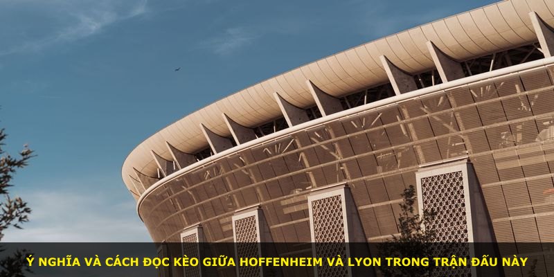 Ý nghĩa và cách đọc kèo giữa Hoffenheim và Lyon trong trận đấu này