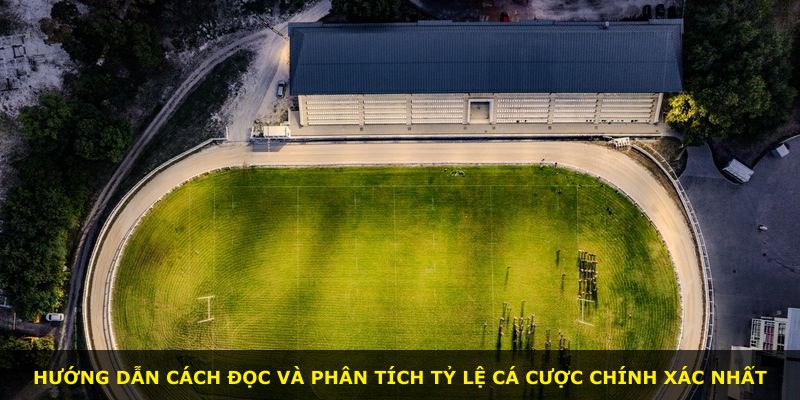 Hướng dẫn cách đọc và phân tích tỷ lệ cá cược chính xác nhất
