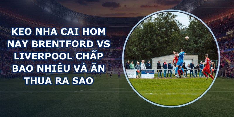 keo nha cai hom nay Brentford vs Liverpool