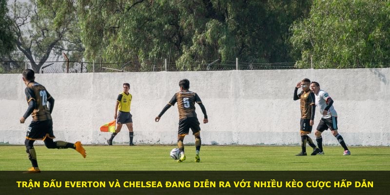 Trận đấu Everton và Chelsea đang diễn ra với nhiều kèo cược hấp dẫn