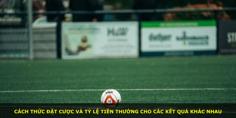 Cách thức đặt cược và tỷ lệ tiền thưởng cho các kết quả khác nhau