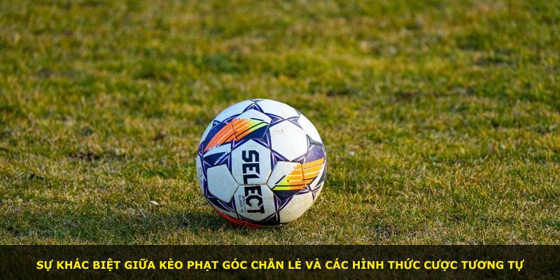 Sự khác biệt giữa kèo phạt góc chẵn lẻ và các hình thức cược tương tự