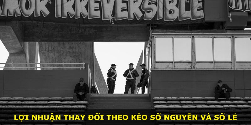 Lợi nhuận thay đổi theo kèo số nguyên và số lẻ
