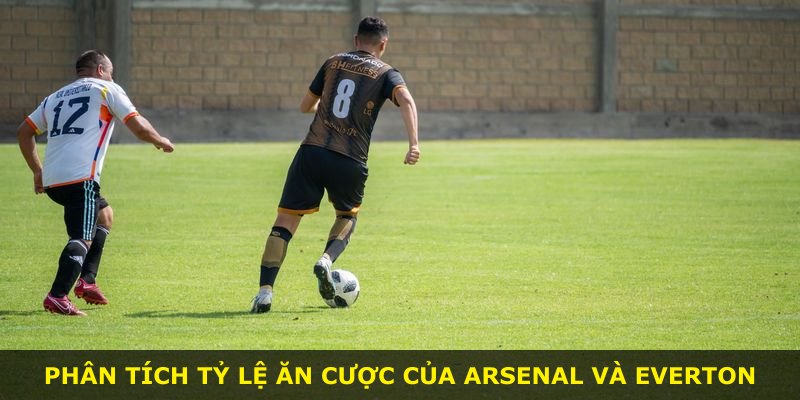 Phân tích tỷ lệ ăn cược của Arsenal và Everton