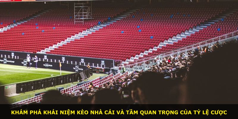 Khám phá khái niệm kèo nhà cái và tầm quan trọng của tỷ lệ cược