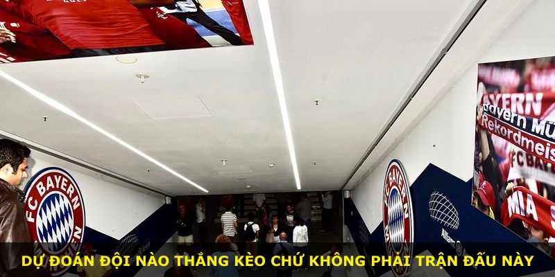 Dự đoán đội nào thắng kèo chứ không phải trận đấu này