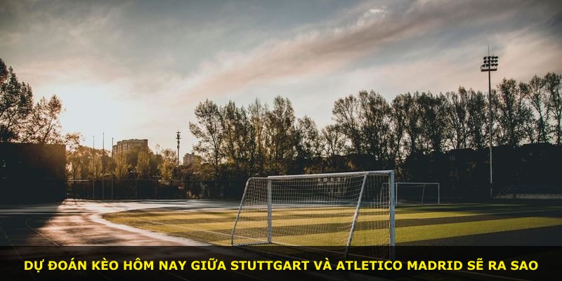 Dự đoán kèo hôm nay giữa Stuttgart và Atletico Madrid sẽ ra sao