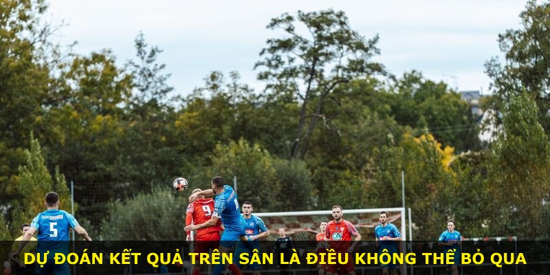 Dự đoán kết quả trên sân là điều không thể bỏ qua