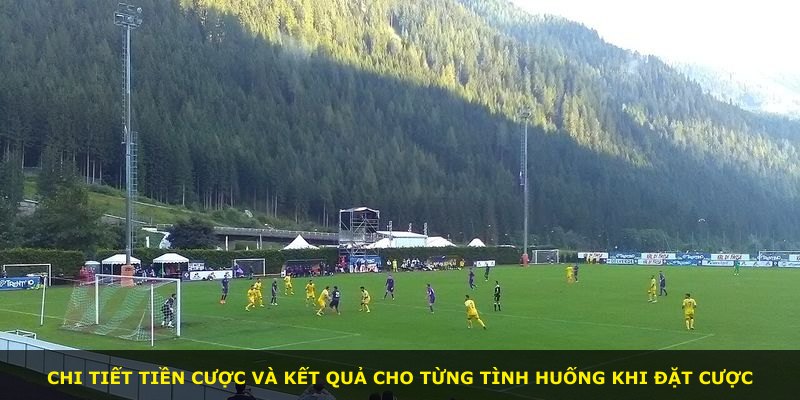 Chi tiết tiền cược và kết quả cho từng tình huống khi đặt cược