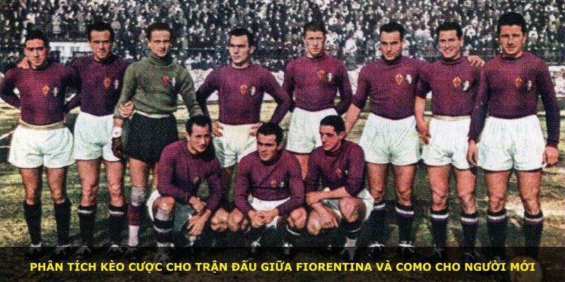 Phân tích kèo cược cho trận đấu giữa Fiorentina và Como cho người mới
