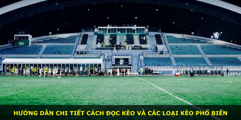 Hướng dẫn chi tiết cách đọc kèo và các loại kèo phổ biến