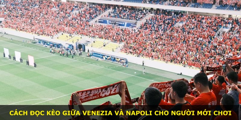 Cách đọc kèo giữa Venezia và Napoli cho người mới chơi