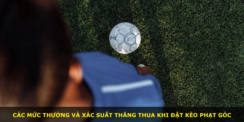 Các mức thưởng và xác suất thắng thua khi đặt kèo phạt góc