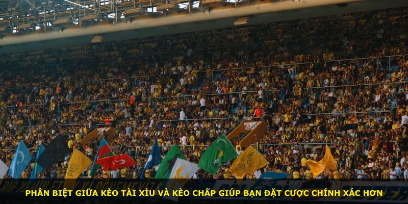 Phân biệt giữa kèo tài xỉu và kèo chấp giúp bạn đặt cược chính xác hơn