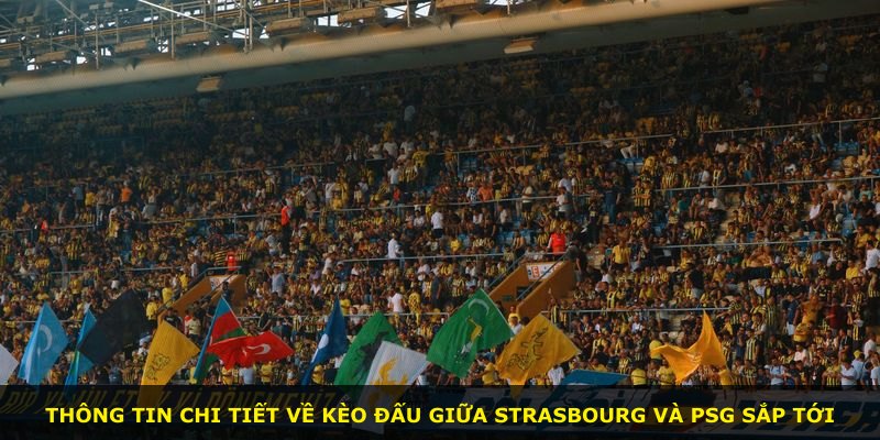 Thông tin chi tiết về kèo đấu giữa Strasbourg và PSG sắp tới