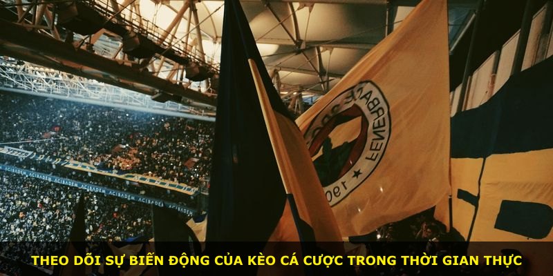 Theo dõi sự biến động của kèo cá cược trong thời gian thực