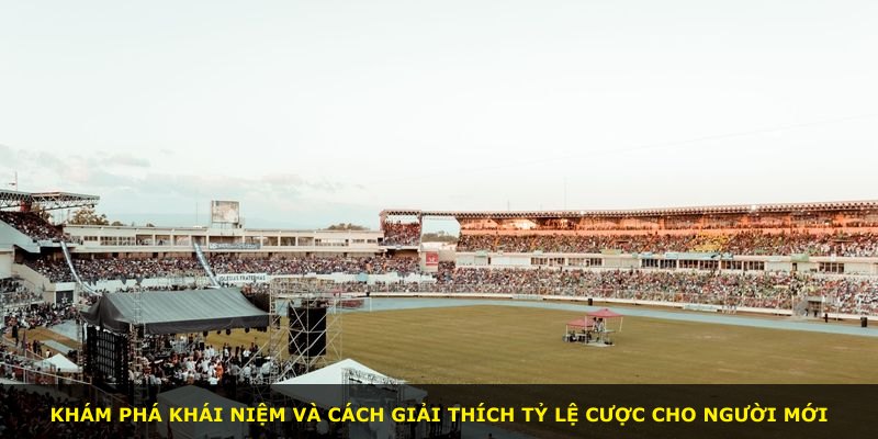 Khám phá khái niệm và cách giải thích tỷ lệ cược cho người mới