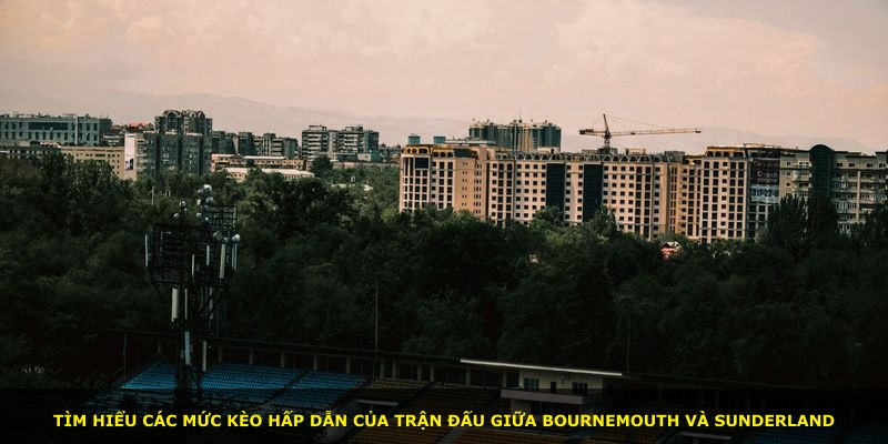 Tìm hiểu các mức kèo hấp dẫn của trận đấu giữa Bournemouth và Sunderland