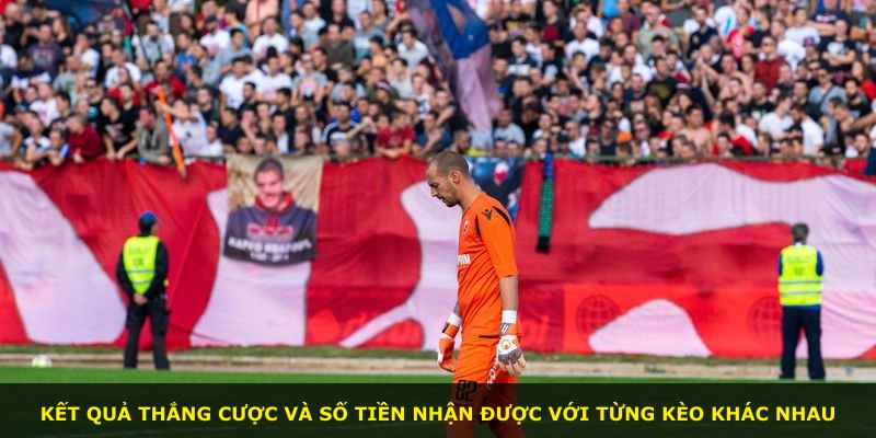 Kết quả thắng cược và số tiền nhận được với từng kèo khác nhau