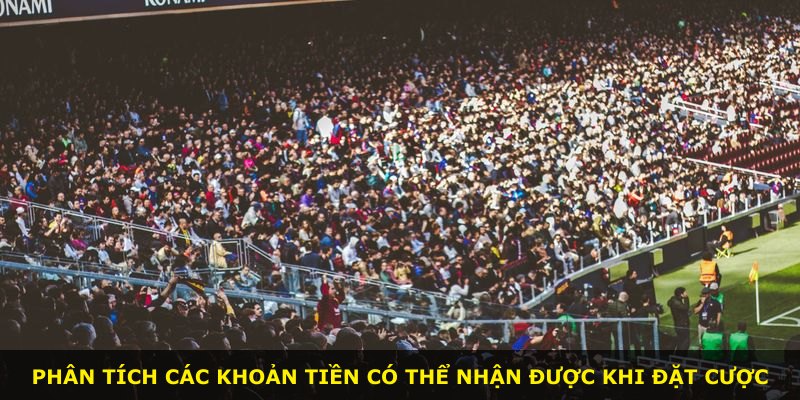Phân tích các khoản tiền có thể nhận được khi đặt cược