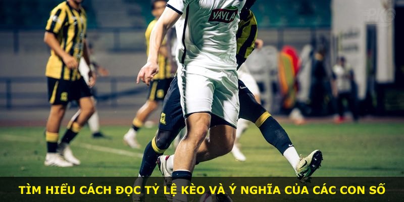 Tìm hiểu cách đọc tỷ lệ kèo và ý nghĩa của các con số