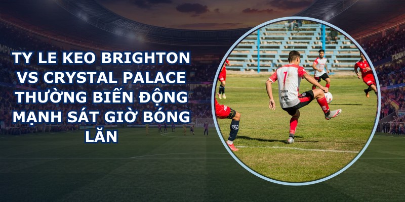 ty le keo Brighton vs Crystal Palace