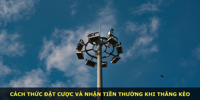 Cách thức đặt cược và nhận tiền thưởng khi thắng kèo