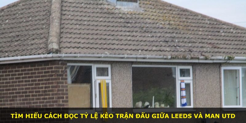 Tìm hiểu cách đọc tỷ lệ kèo trận đấu giữa Leeds và Man Utd