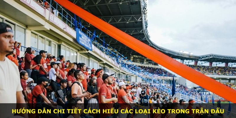 Hướng dẫn chi tiết cách hiểu các loại kèo trong trận đấu