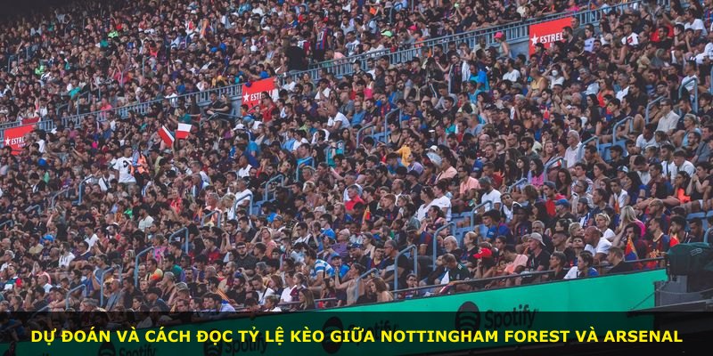 Dự đoán và cách đọc tỷ lệ kèo giữa Nottingham Forest và Arsenal