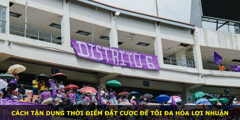 Cách tận dụng thời điểm đặt cược để tối đa hóa lợi nhuận
